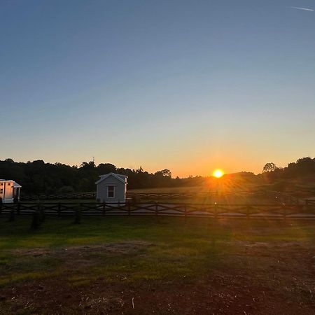 Luxury Riverfront Tiny House- Amazing Views- #111 Strawberry Plains ภายนอก รูปภาพ